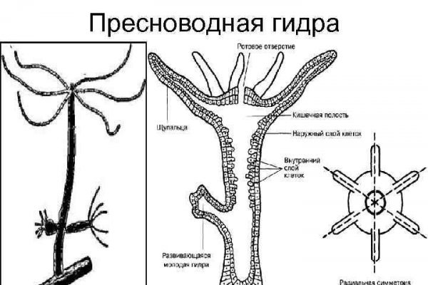 Мега омг