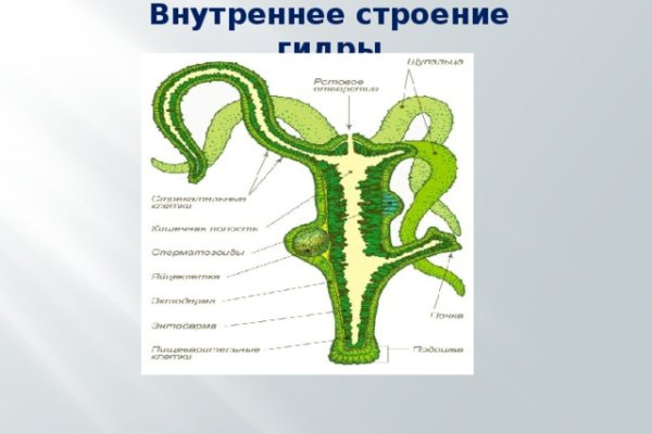 Обменник биткоин в мегу