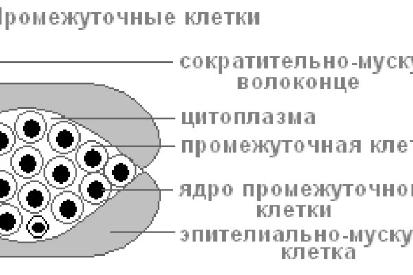 Кракен мага