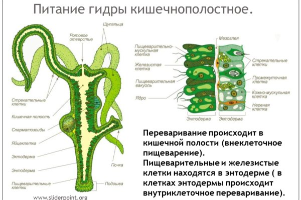 Kraken darknet зеркала