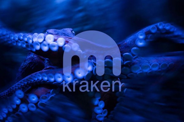 Ссылка крамп kraken4webes