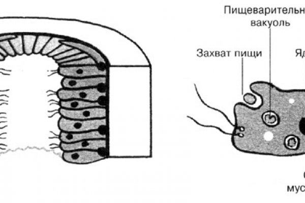 Кракен маркет тор